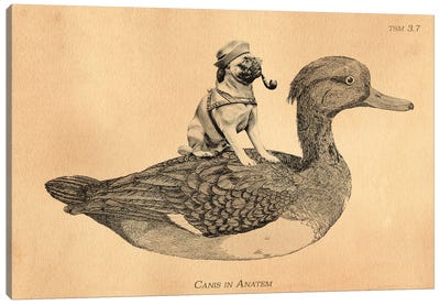 Pug Duck Canvas Art Print - Duck Art