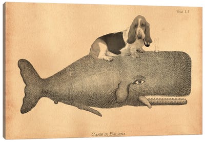 Basset Hound Riding Whale II Canvas Art Print - Tea Stained Madness