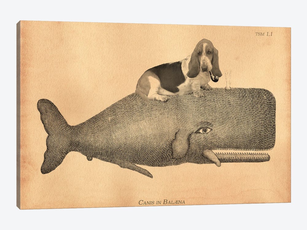 Basset Hound Riding Whale II by Tea Stained Madness 1-piece Canvas Artwork