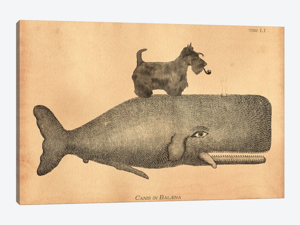 Scottie Whale by Tea Stained Madness 1-piece Art Print