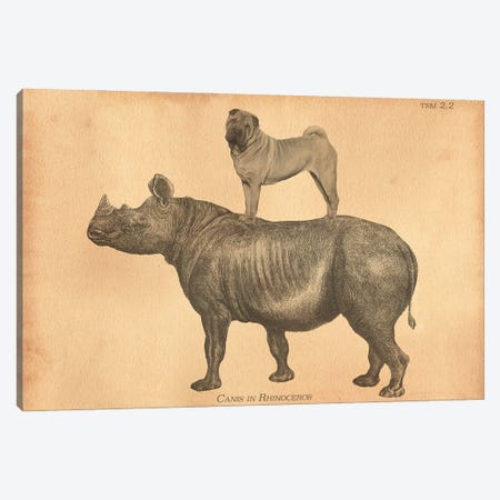 Shar-Pei Rhino Canvas Print #SMD87} by Tea Stained Madness Art Print
