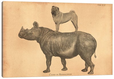 Shar-Pei Rhino Canvas Art Print - Tea Stained Madness