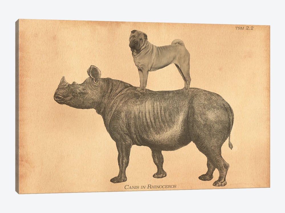 Shar-Pei Rhino by Tea Stained Madness 1-piece Art Print
