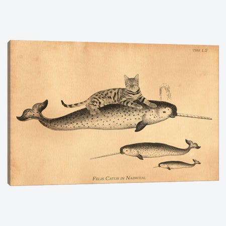 Bengal Cat Narwhal Canvas Print #SMD9} by Tea Stained Madness Art Print