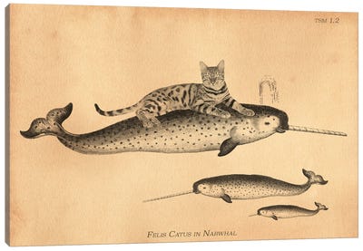 Bengal Cat Narwhal Canvas Art Print - Kids Ocean Life Art