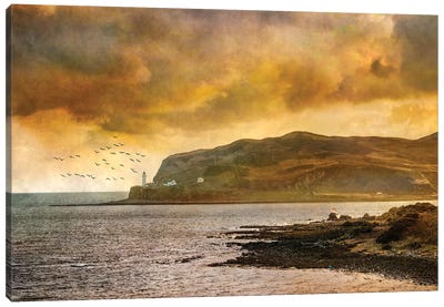 Davaar Island Lighthouse And Wreck, Kintyre Canvas Art Print - Sarah Morton