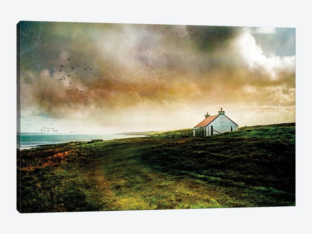 Island Life, Islay by Sarah Morton 1-piece Canvas Print