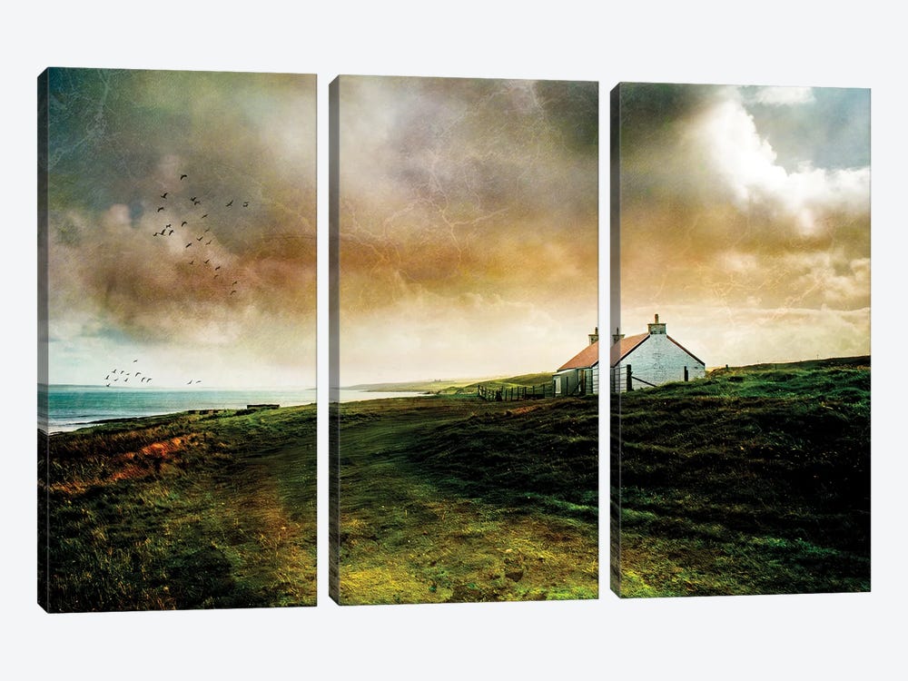 Island Life, Islay by Sarah Morton 3-piece Canvas Art Print