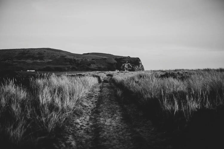 The Path Through The Dunes