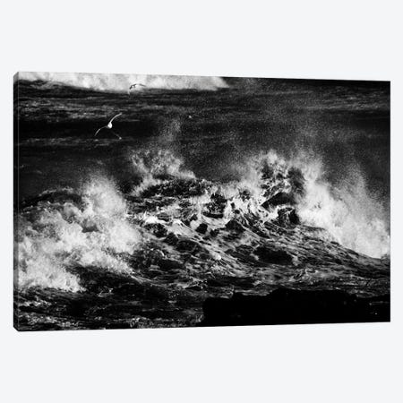 Duelling With The Storm Canvas Print #SMF23} by Sarah Morton Canvas Artwork