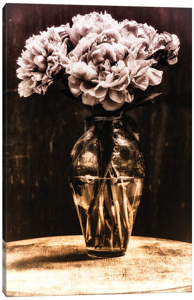 Peonies In A Vase I Canvas Art Print - Sarah Morton