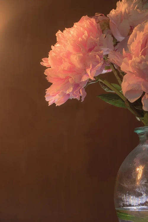 Peonies In A Vase II