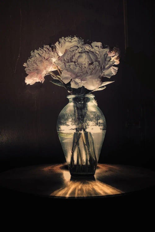 Peonies In A Vase III