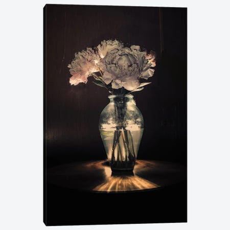 Peonies In A Vase III Canvas Print #SMF41} by Sarah Morton Canvas Art