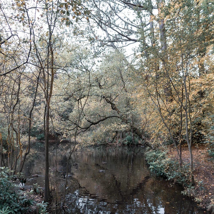 Blue Autumn Water