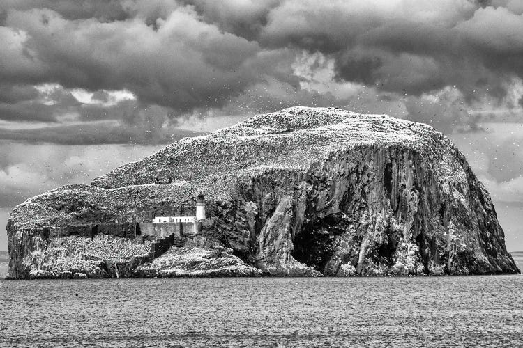 The Bass Rock