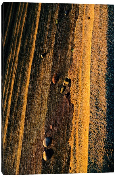 Gold Canvas Art Print - Aerial Beaches 
