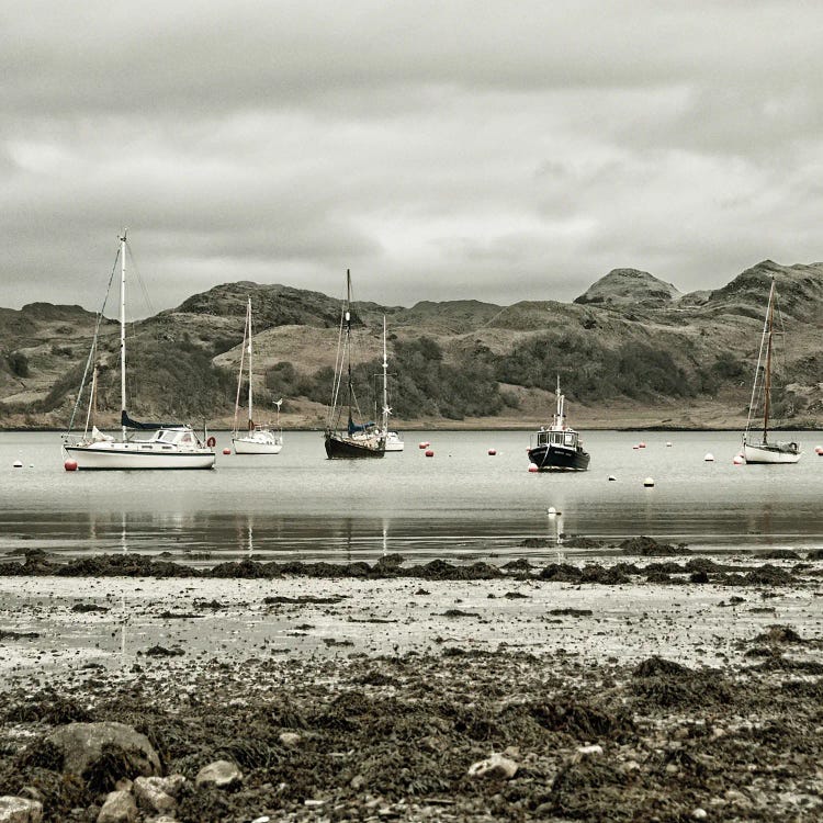 Boats At Anchor