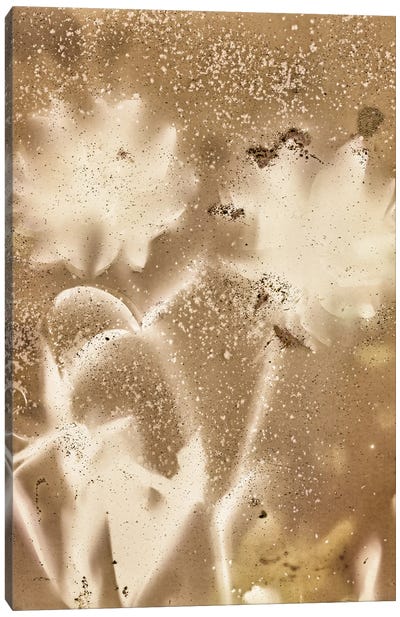 Photogram Gold Canvas Art Print - Sarah Morton