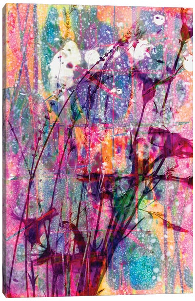 Technicolour Dreamscape Canvas Art Print - Sarah Morton