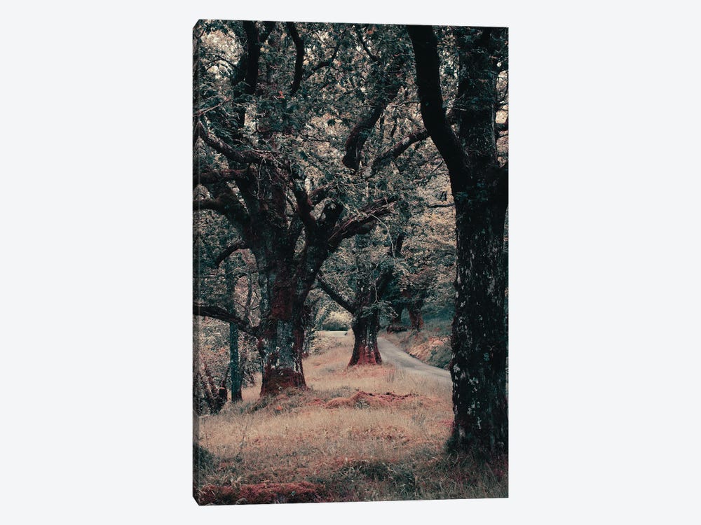 The Road Home by Sarah Morton 1-piece Canvas Wall Art