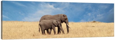 Elephant & Her Calf Canvas Art Print