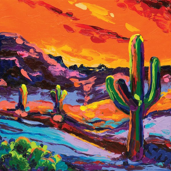 Desert: Last Light by Simone Majetich