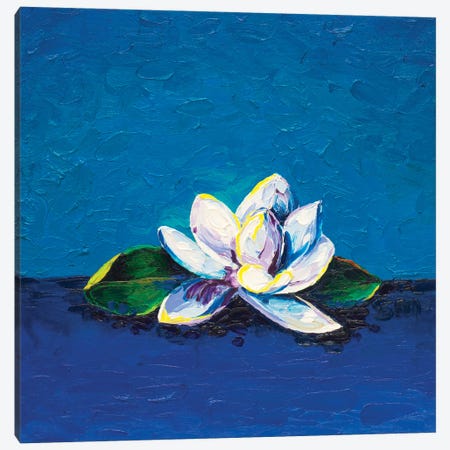 Magnolia Blossom Canvas Print #SMJ13} by Simone Majetich Canvas Print