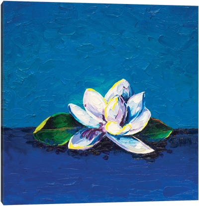 Magnolia Blossom Canvas Art Print - Simone Majetich