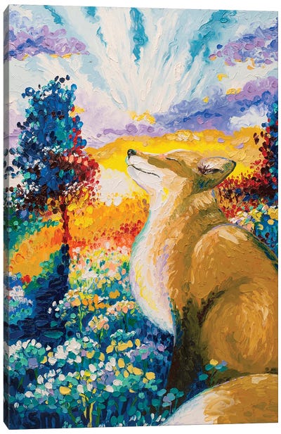 Morning Splendor Canvas Art Print - Fox Art