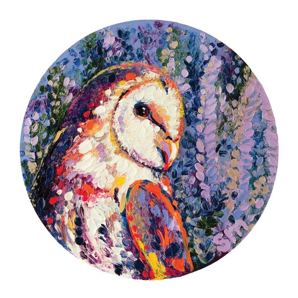 Finger Painting: Amorous Barn Owl by Simone Majetich