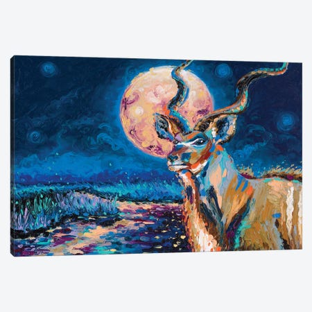 Greater Kudu Canvas Print #SMJ26} by Simone Majetich Canvas Art Print