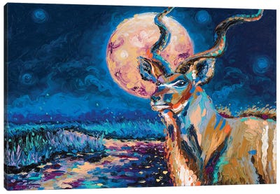 Greater Kudu Canvas Art Print - Full Moon Art