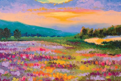 Prismatic Hues by Simone Majetich canvas print