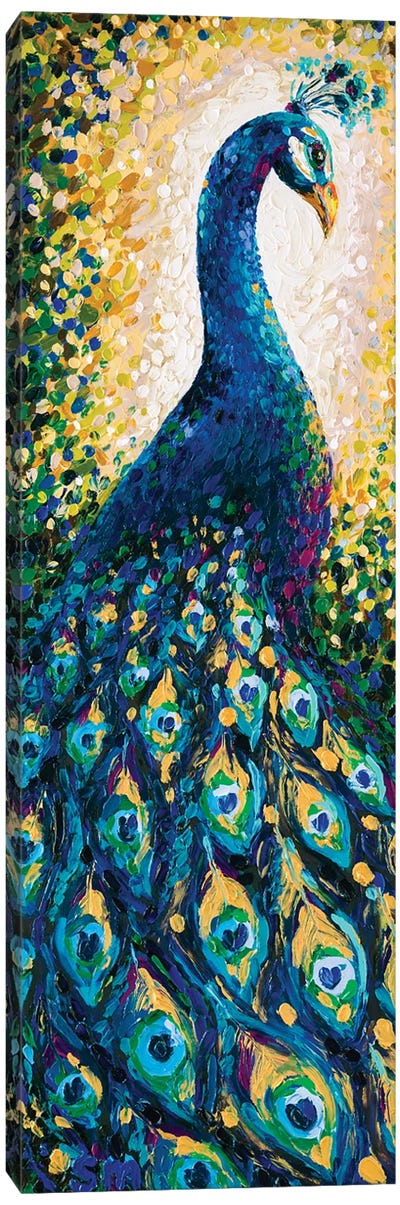 Gracefully Gilded Canvas Art Print - Peacock Art