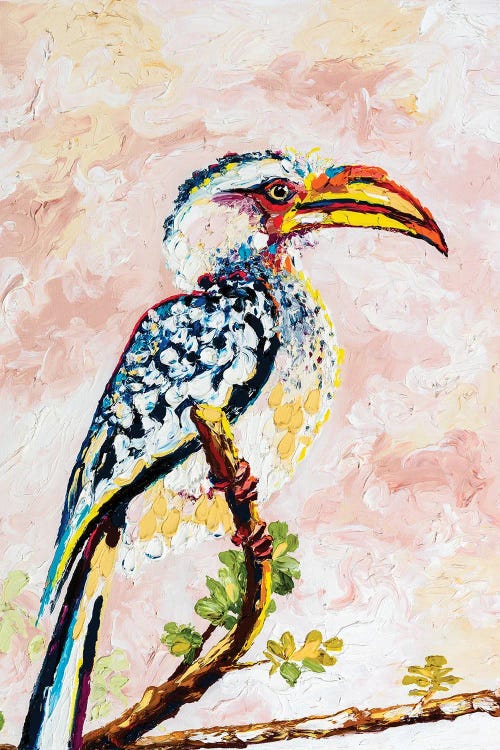 African Yellow-Billed Hornbill