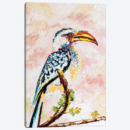 African Yellow-Billed Hornbill Canvas Print #SMJ6} by Simone Majetich Canvas Artwork
