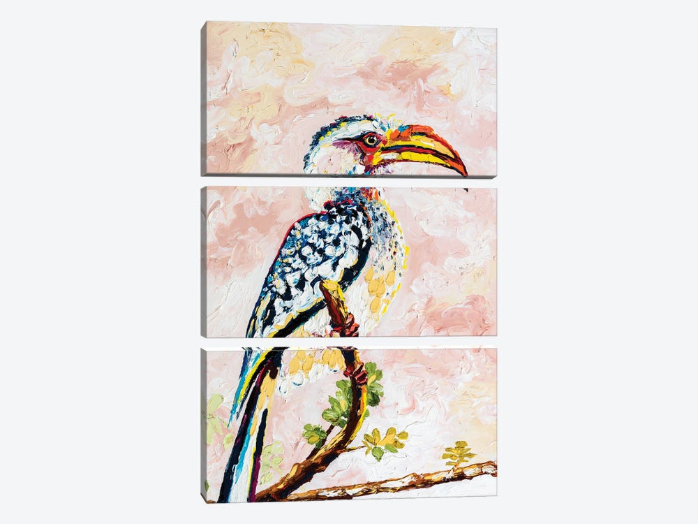 African Yellow-Billed Hornbill by Simone Majetich 3-piece Canvas Artwork