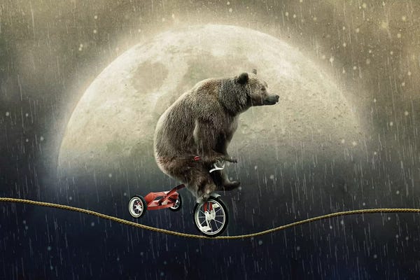 Brown Bears: Balancing Act by Seamless