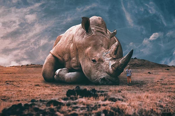 Rhinoceroses: Beside You by Seamless