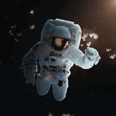 Feathers by Seamless art print