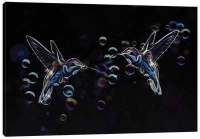 Hummingbirds Canvas Art Print - Funky Art Finds