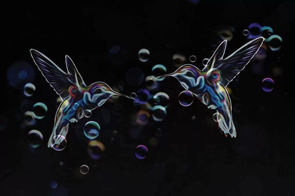 Hummingbirds: Hummingbirds by Seamless