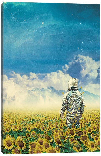 In The Field Canvas Art Print - Seamless