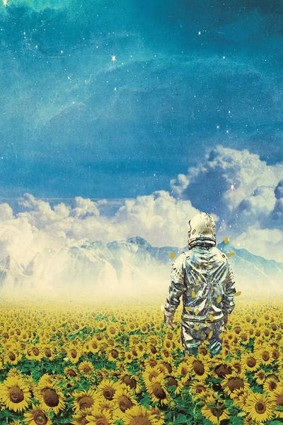 Kids Astronomy & Space Art: In The Field by Seamless