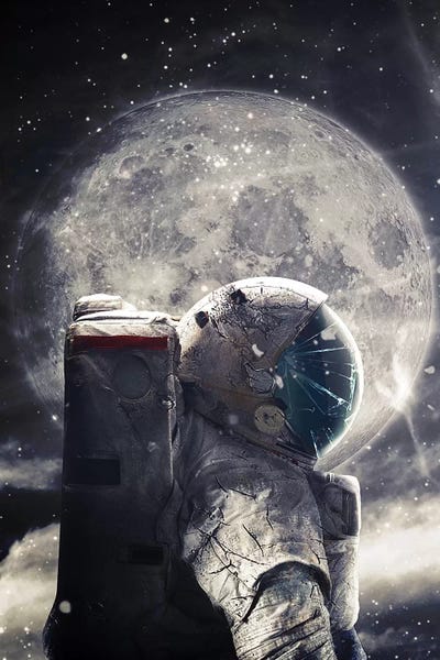 Surrealism: Accompanied by Seamless