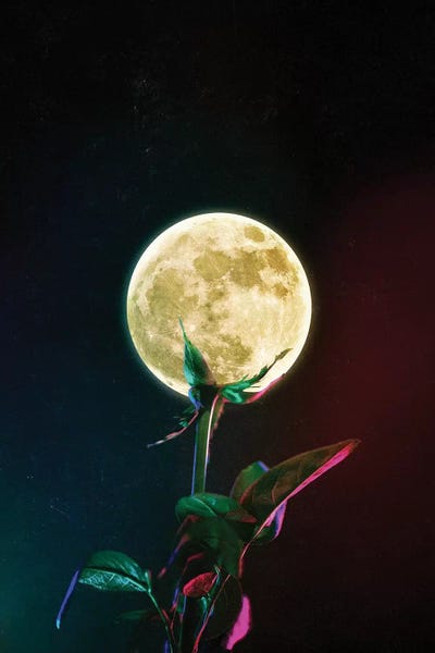 Moon Flower by Seamless art print