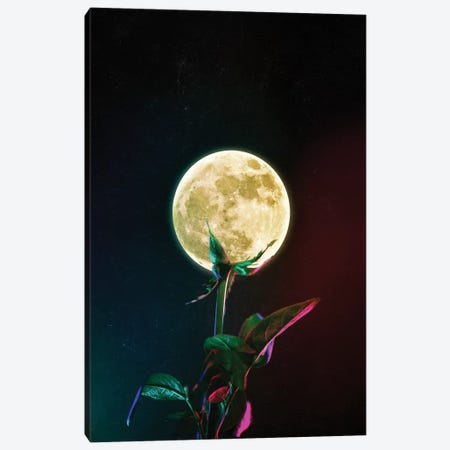 Moon Flower Canvas Print #SML57} by Seamless Canvas Art