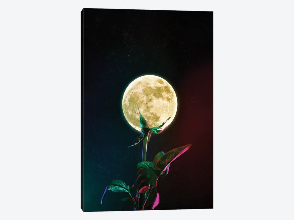 Moon Flower by Seamless 1-piece Canvas Print