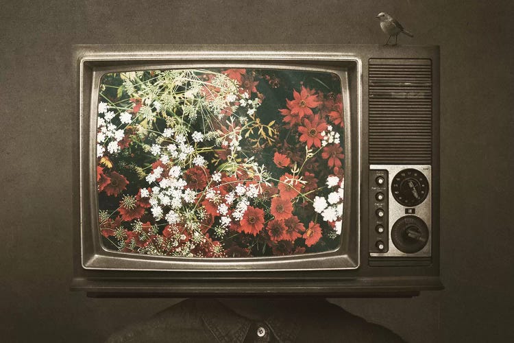 Programmed by Seamless wall art